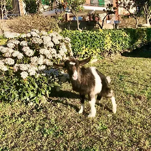  Bed and breakfast Annetta